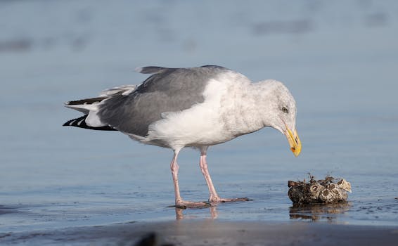 Top five slot machine tricks that actually work